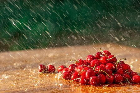 Wet ripe red cherry lies on a wooden table on a green background under heavy summer rainの写真素材