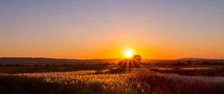 autumn sunsetの写真素材