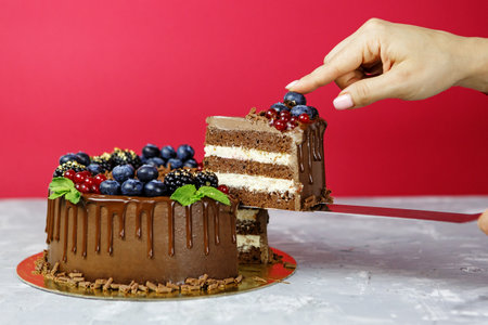 Female hands holding a piece of chocolate cake with blueberry, red currants, blackberry and mint on...