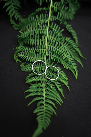 Wedding rings on the fern leaf on the black backgroundの写真素材