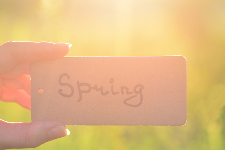 Spring text on a card.; Girl holding card in a rays.の写真素材