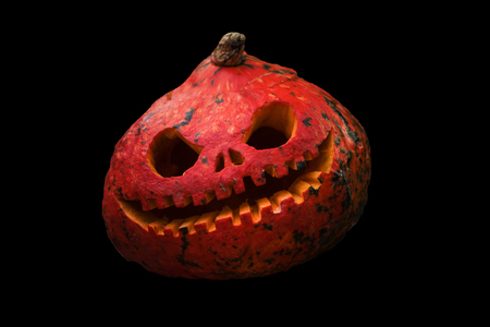 Close up of red scary and angry pumpkin with big eyes and tooth looking and smiling at camera isolated on black. Decoration for Halloween holiday at forest outdoor. Funny october holiday.の写真素材