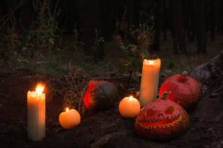 Red scary and angry pumpkins, one with big eyes and tooth looking and smiling at camera. Decoration for Halloween holiday at forest outdoor. Funny october holiday.の写真素材