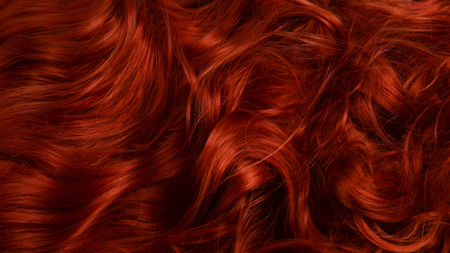 Red hair background. Curly red hair.の写真素材