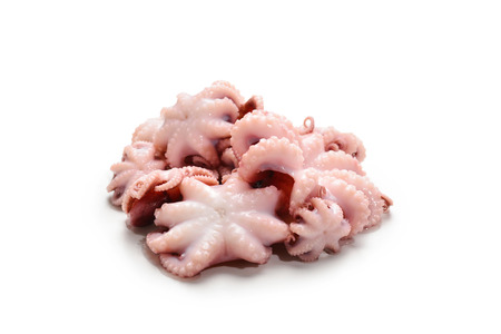 Octopus isolated on white background. の写真素材