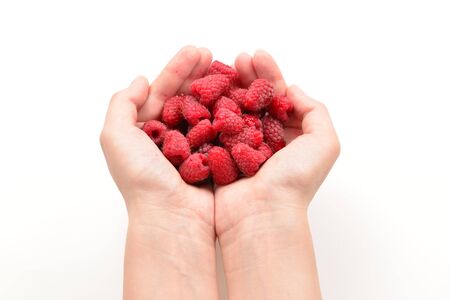 Raspberry kept in hands isolated on white background.の写真素材