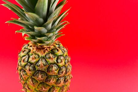 Pineapple on a red background. Space for text or design.の写真素材