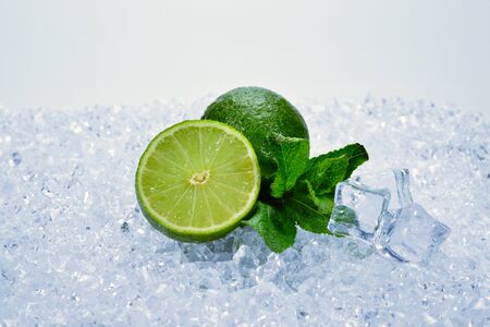 Juicy fresh lime and mint on ice cubes.の写真素材