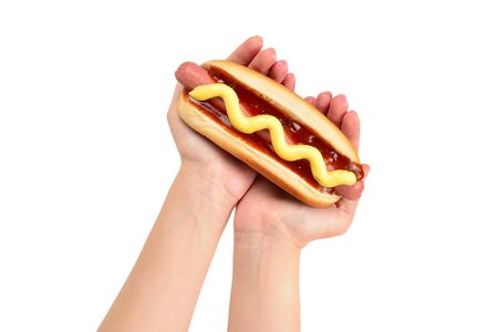 Hot dog in woman hand isolated on white background. Copy space.の写真素材