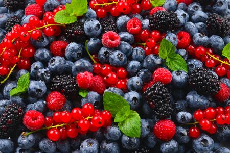 Blackberry, raspberry, blueberry,  red currant and mint background.の写真素材