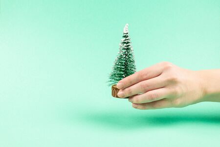 Small christmas tree in woman hand on a green background. Copy space.の写真素材