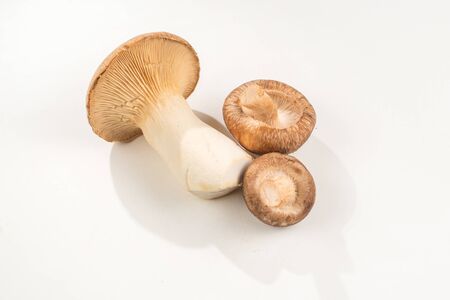 Shitake, eringi  tasty mushroom isolated on white background. Copy space.