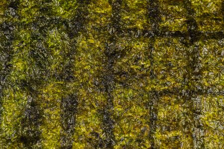 Nori seaweed isolated on white. Top view