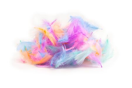 Colorful feather background, isolated on white. Copy space.の写真素材