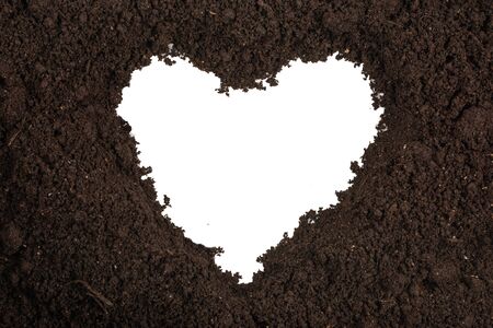 Black land for plant background. Top view.の写真素材