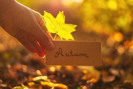 Autumn text on a card.  Girl holding card in autumn park in sunny rays.の写真素材