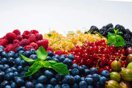 Gooseberries, blueberries, mulberry, raspberries, white and red currants isolated on white background.の写真素材