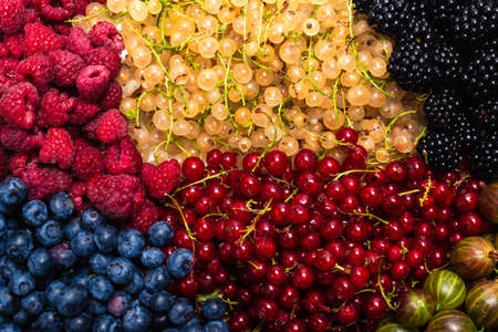 Gooseberries, blueberries, mulberry, raspberries, white and red currants background.の写真素材