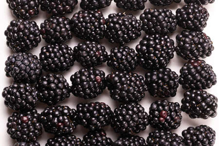 Tasty blackberry in a row isolated on white background.