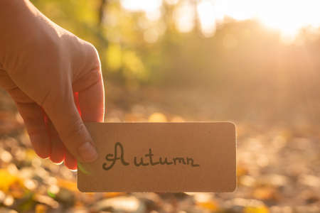 Autumn text on a card. Girl holding card in autumn park in sunny rays.の写真素材