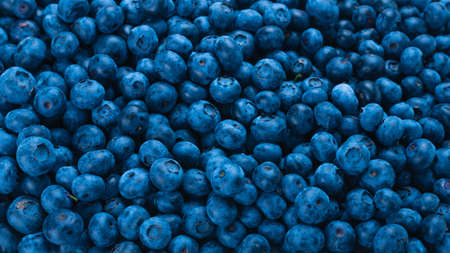 Fresh blueberry background. Texture blueberry berries close up.の写真素材