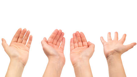 Hand of woman isolated on white.の写真素材