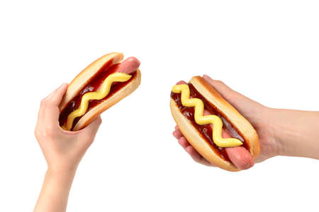 Hot dog in woman hand isolated on white background. Copy space.の写真素材