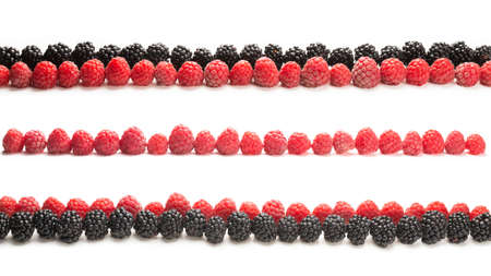 Raspberries and blackberry in a row isolated on white background.の写真素材