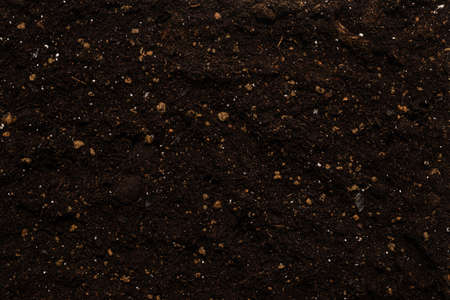 Black land for plant background. Top view.