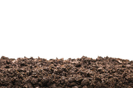 Black land for plant isolated on white background.の写真素材