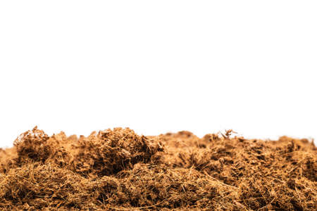 Coconut substrate background. Top view.の写真素材