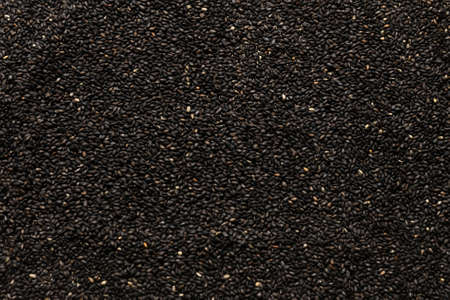 Seeds of a black sesame.の写真素材