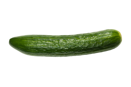 Cucumber isolated on white background.の写真素材
