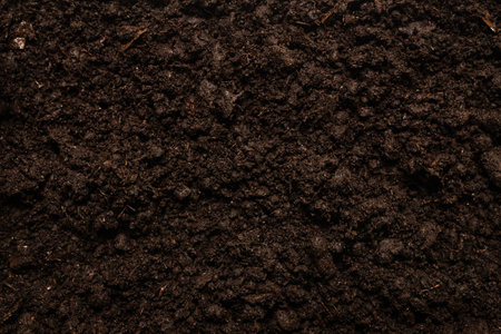 Black land for plant background. Top view.の写真素材