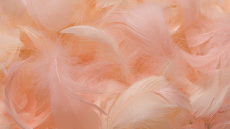 Colorful feather background, top view.の写真素材