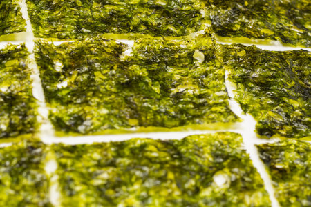 Tasty nori seaweed isolated on white background.の写真素材