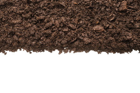 Black land for plant isolated on white background.の写真素材