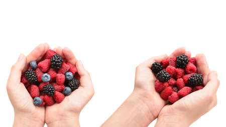 Berries kept in hands isolated on white background.の写真素材