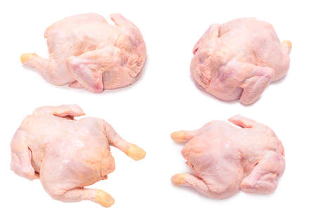 Raw chicken isolated on white background.の写真素材