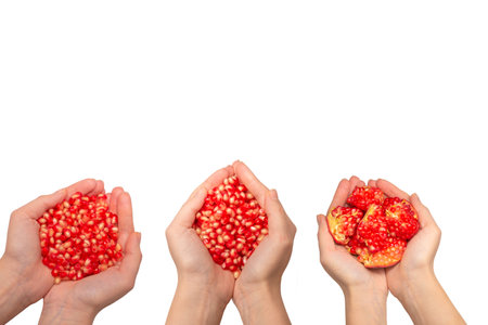 Woman hold juicy pomegranate seeds. Isolated on white.の写真素材