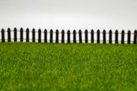 Green grass and fence isolated on white background.の写真素材