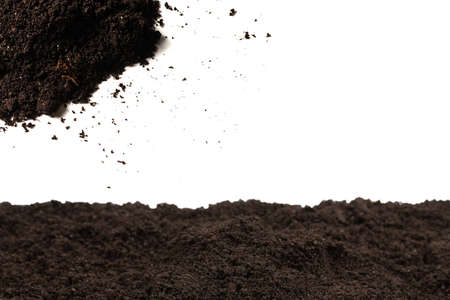 Black land for plant background. Top view.の写真素材