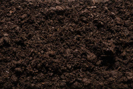 Black land for plant background. Top view.の写真素材