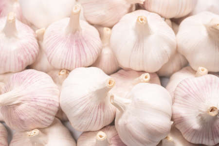 Garlic isolated on a white background. Top view.