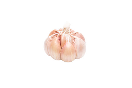 Garlic isolated on a white background. Top view.の写真素材
