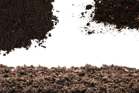 Black land for plant isolated on white background.の写真素材