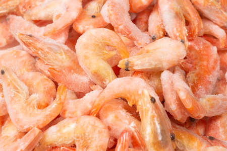 Fresh shrimps in ice. Top view.の写真素材
