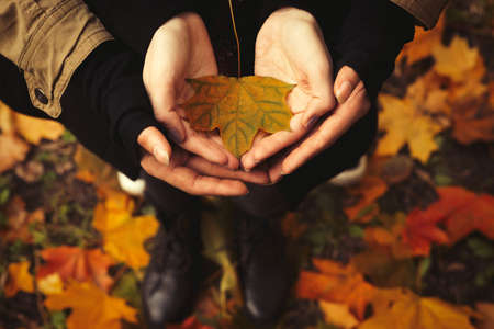 Couple in love with open hands holding a yellow leaf in the forest