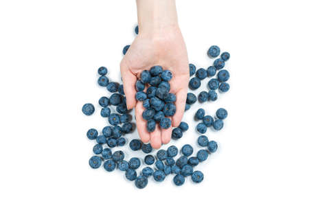 Bluepberry kept in woman hands isolated on white background. Top view.の写真素材