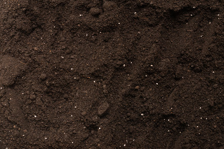 Black land for plant background. Top view. Ground pattern.の写真素材